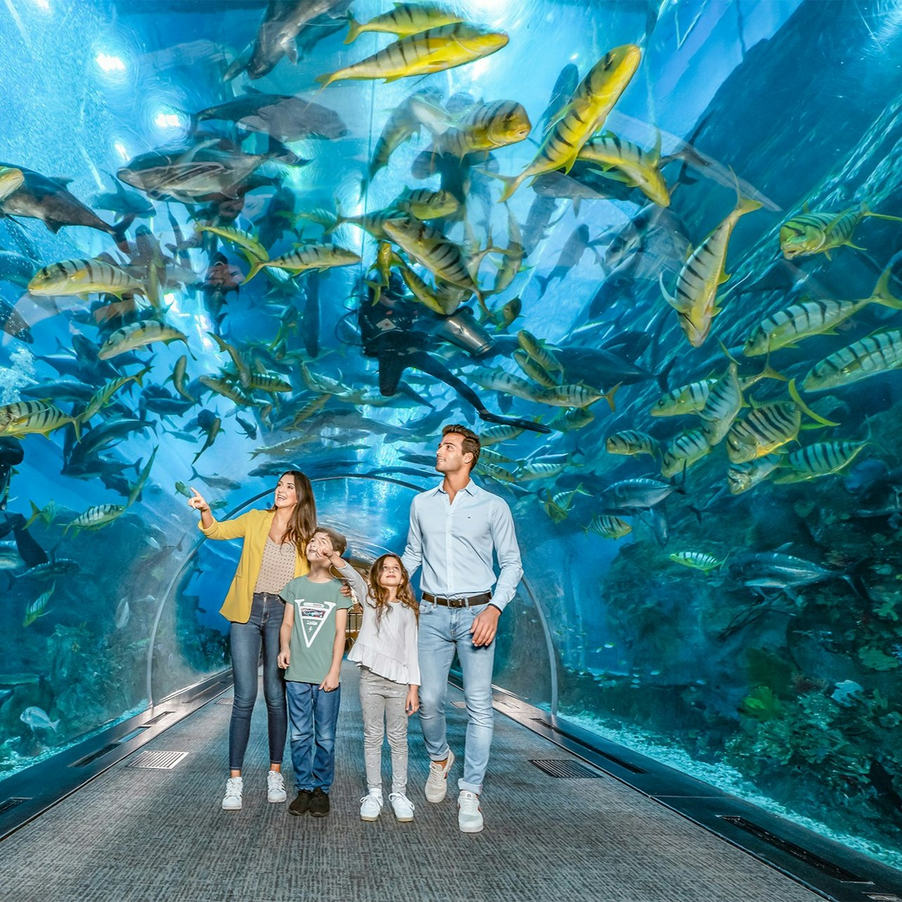 Dubai Aquarium & Underwater Zoo: Gold Pass - Photo 1 of 7